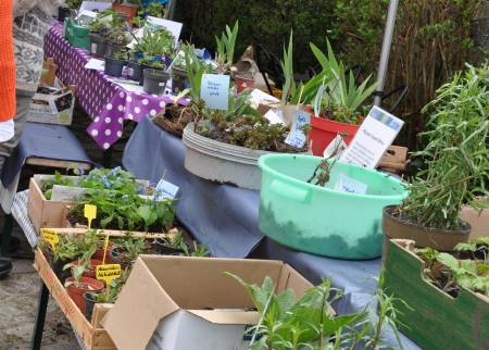 Pflanzen-Tausch-Börse Wewelsburg